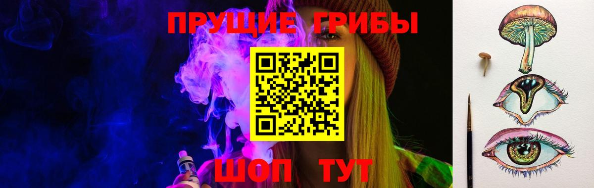 Кострома  Галлюциногенные грибы прущие грибы  Вход с VPN  Галлюциногенные грибы Psilocybe 